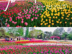 -国家植物园