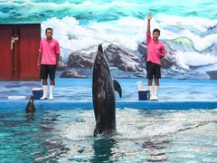 -多彩贵州城极地海洋世界