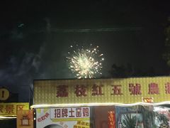 -荔枝红五号农庄