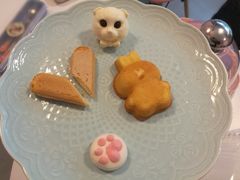 -三花喵·撸猫购宠·宠物生活馆(虹桥南丰城店)