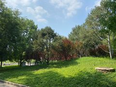 -丰台花园