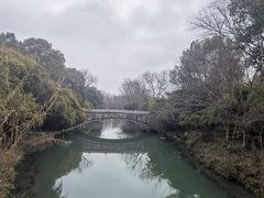 -西溪国家湿地公园