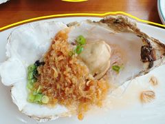 -崂山印象·青岛·海鲜渔家菜