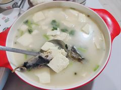 -煲来饱去冷水鱼