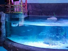 -沈阳海洋探索中心