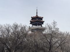 -龙沙公园