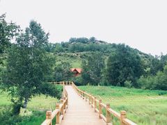 -塞罕坝国家级自然保护区