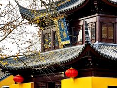 -圆通寺