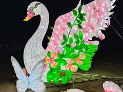 -北京世界公园