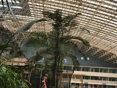 -龙脉温泉室内游泳馆