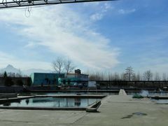 android_upload_pic-特种渔场