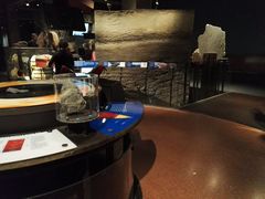 -美国自然历史博物馆