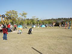 -上海长兴岛郊野公园