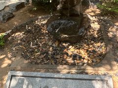 -大连植物园