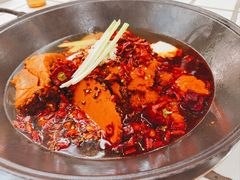 -朱光玉火锅馆(正弘城店)