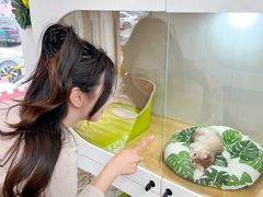 -青奢宠物·青奢猫舍