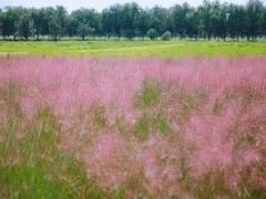 -汉长安城未央宫国家考古遗址公园