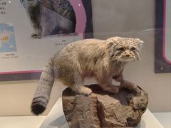 -国家自然博物馆