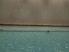 -上海外滩悦榕庄酒店