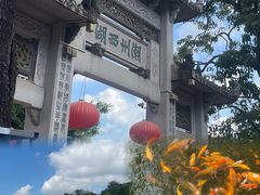 -谢怀亮芝麻茶