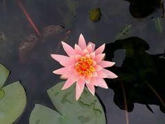 -华南国家植物园-售票处