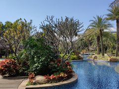 -海悦山庄酒店-花园泳池