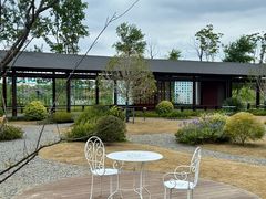 -杭州湾海上花田景区