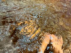 -青水瓦台汤泉(未央店)