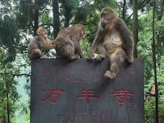 -峨眉山风景名胜区