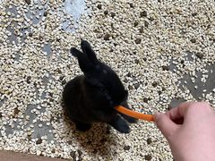 -昆明大悦城未来动物城(螺蛳湾中心店)