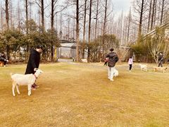 -前小桔亲子创意农场·草莓采摘·露营烧烤