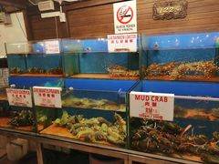 -真浪花园海鲜餐馆