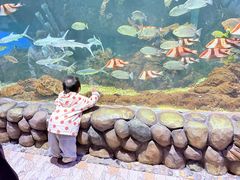 -华夏文旅海洋公园