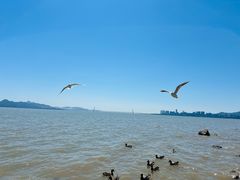 -深圳湾公园(南山区)
