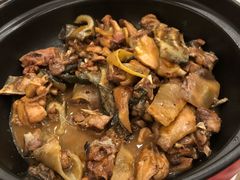 甲鱼煲鸡-顺风山庄(水濂山店)