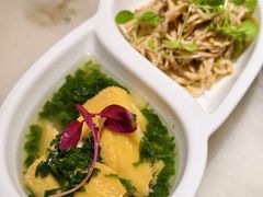 葱香白切鸡拼香椿苗菌菇丝-淮扬府(安定门店)