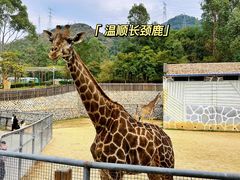 -泉州海丝野生动物世界