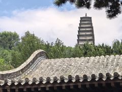 -雁门关景区