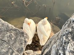 -太阳宫公园