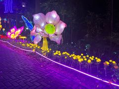 -广西壮族自治区药用植物园