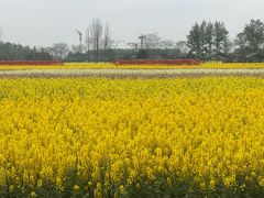 -中国天府农业博览园