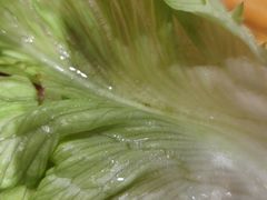 -喜来稀肉(北外滩白玉兰广场店)