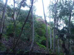 DSC_1613-厦门博饼民俗园