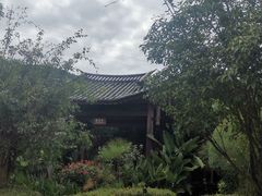 -腾冲洞山温泉村