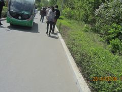 园区观光车-长春公园(普阳街道)