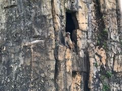 -海南热带野生动植物园