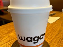 -Wagas沃歌斯(汇智店)