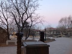-营口金泰珑悦海景大酒店