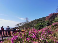 -广州市石门国家森林公园