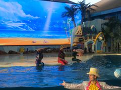 -三亚海昌梦幻海洋不夜城